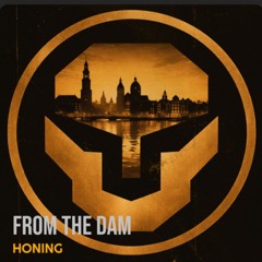 From The Dam - HoNING radio edit