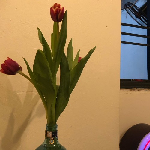đừng ns ve hnay (tại shygone)