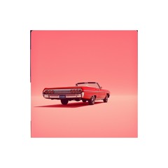 HS Kids With Guns v.1-final