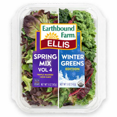 Ellis Spring Mix Vol. 4 - Winter Greens Edition (Live DJ Set)