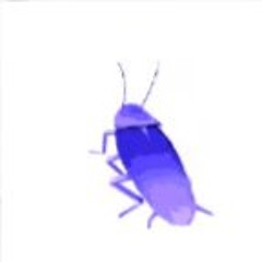 BIBITTES DANCEFLOOR