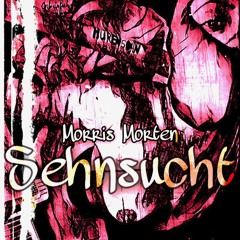 Sehnsucht ( Prod. by Kosa Beatz )
