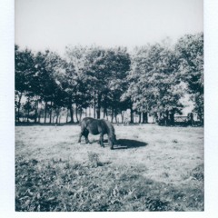 Unchanged for Coldplay