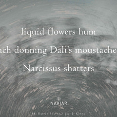 liquid flowers hum (naviarhaiku568)