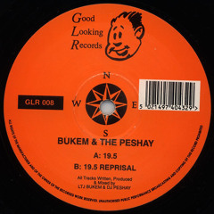 LTJ Bukem & The Peshay - 19.5