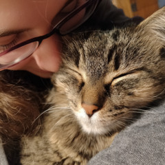 My Cat Purrs in My Ear