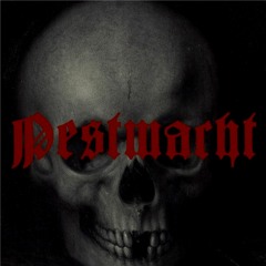 Pestmacht - Transilvanian Hunger Cover