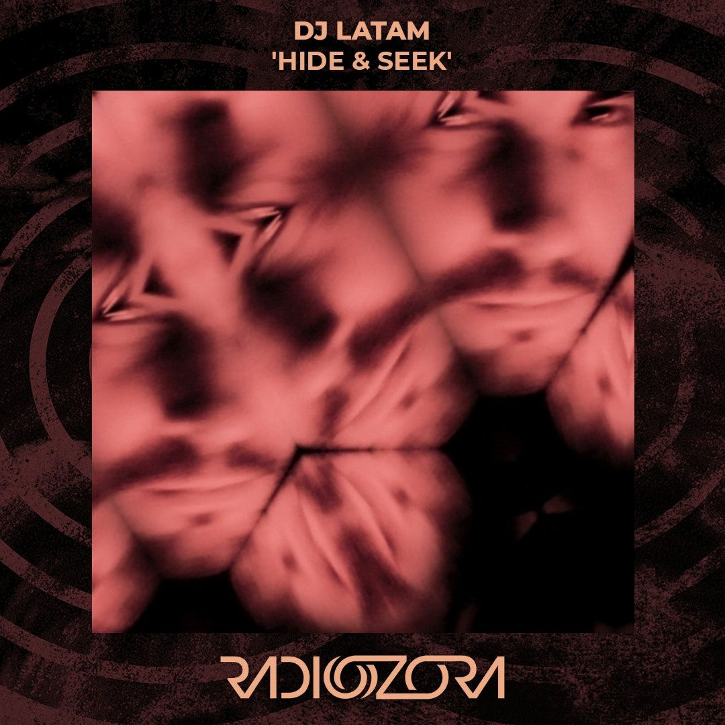 DJ Latam