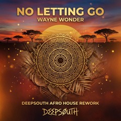 No letting go (Afro House Rework)