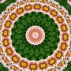 Freckled Girl [Iron & Wine Cover]