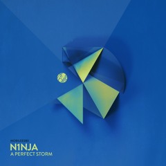 Premiere: N1NJA - A Perfect Storm [Mobilee]