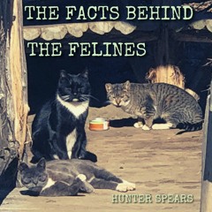 The Facts Behind the Felines
