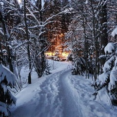 The Long Dark Winter