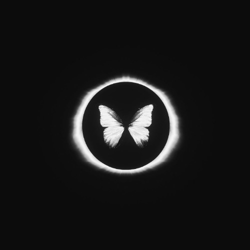 Shadows in the Night - Skytech & ANG (JASON Remix) cover