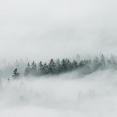 “It is as if a fog has been lifted”