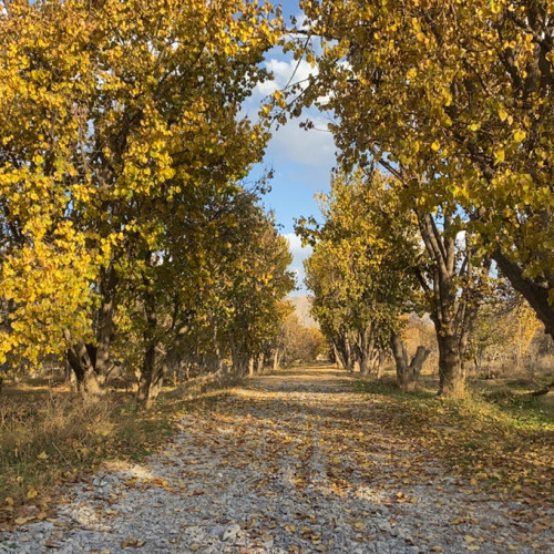 musafir❤️‍🩹🥀