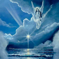 †ʀɨʋɛʀ‡ʄʀօռȶ†『prod. fiji & lewie lee』