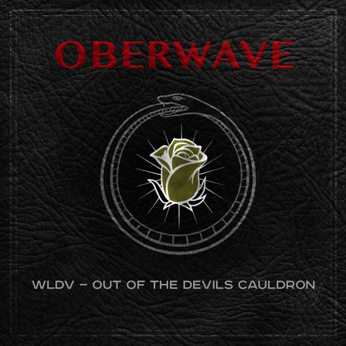 WLDV — Out Of The Devils Cauldron [Oberwave]