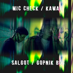 Mic Check/Kawaii (feat. Salgot)