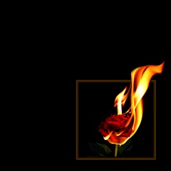 Stressin (prod. level)