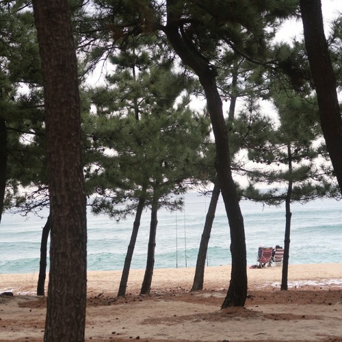 답장 (Piano Version)