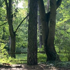 Blendwerk