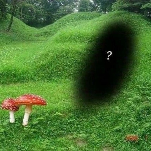 UnbekannterPfad//:?