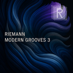 Riemann Modern Grooves 3 (Sample Pack Demo Song)