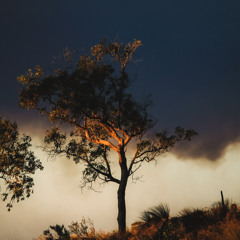 Just How Good You Got It