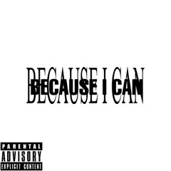 Because i can