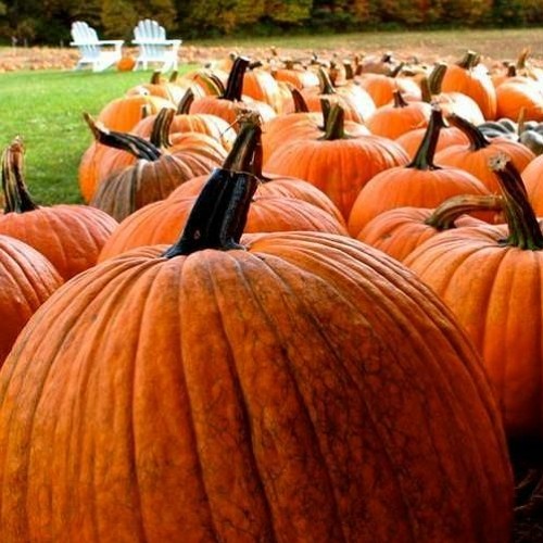 Stream spooky halloween dark techno mix by GLX Gears Listen online