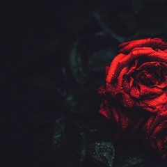 Qué Bonita, Mamacita