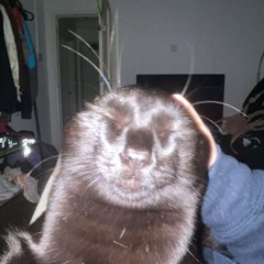 weird1