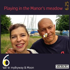 Playing in the Manor's meadow 3