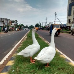 ALKTRA