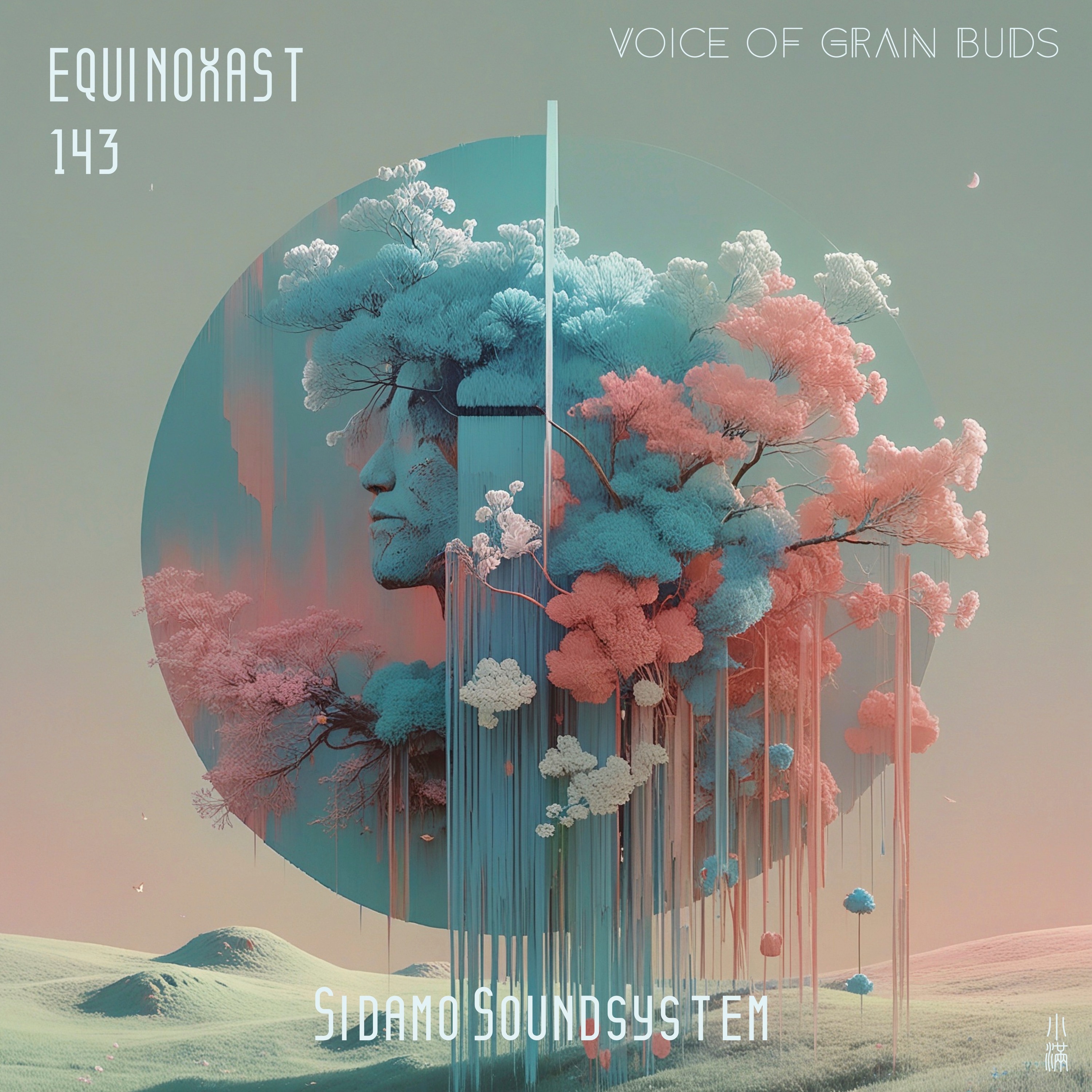 EQUINOXAST #143 Voice of Grain Buds [小满之声] By Sidamo Soundsystem episode artwork