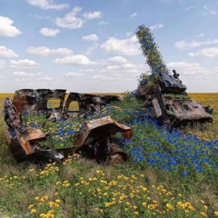 Пиріг - Гаї шумлять