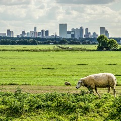 Podcast PFAS: PFAS onderzoek