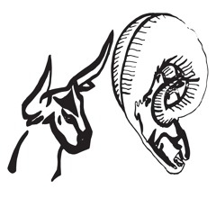 UPROOTED w/ Leen, Gattzilla