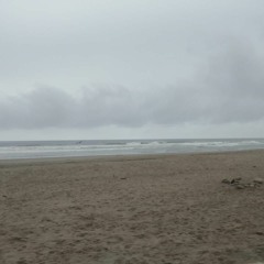 Shes Gone Away - Nine Inch Nails (versión Instrumental)