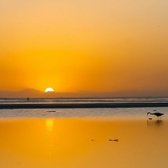 Omani Dawn (Original) - DavieJones