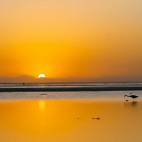 Omani Dawn (Original) - DavieJones