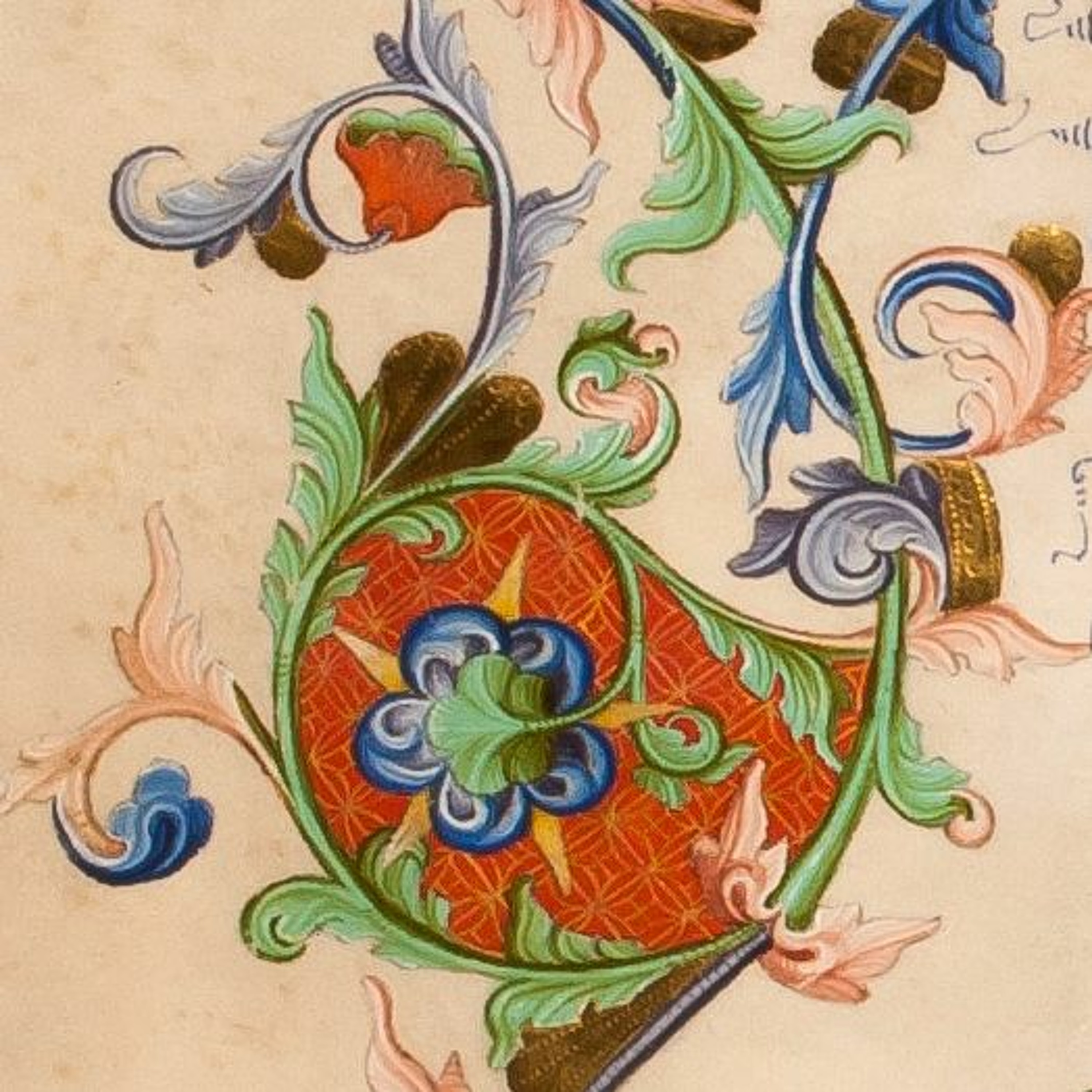 Verhalen uit Museum Plantin-Moretus