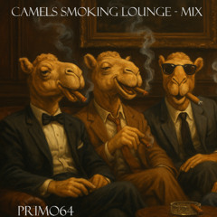 Camels Smoking Lounge - Chill Mix