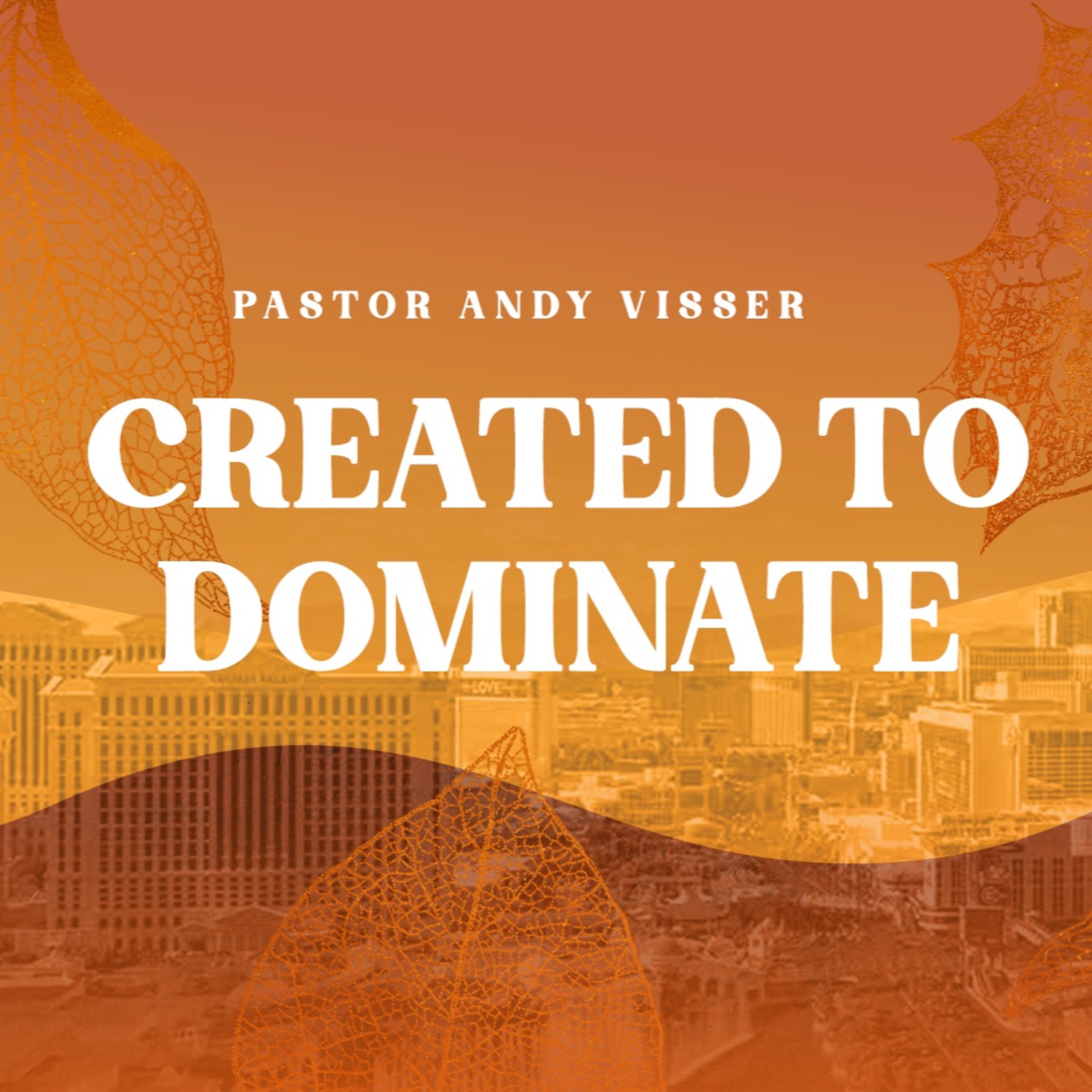 Created To Dominate | Pastor Andy Visser
