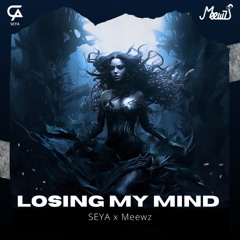 Losing My Mind(SEYA x Meewz)