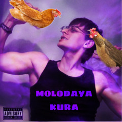 молодая кура