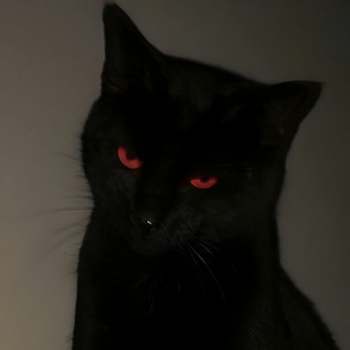 Stream HABITS (Mr. Kitty & Pastel Ghost_Cover).mp3 by 𝐌𝐮𝐬𝐢𝐜 𝐚𝐧𝐝 𝐜𝐨𝐯𝐞𝐫𝐬