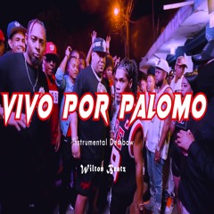 Vivo por Palomo (Instrumental)