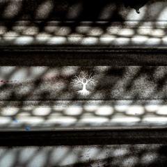 Podcasts & Radio Shows